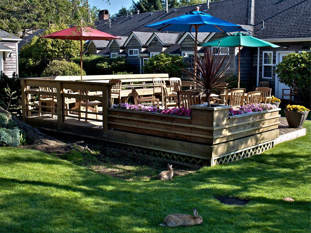 Ecola Creek Lodge Cannon Beach Exterior foto